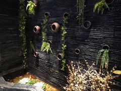 -一只烧鸡公(解放碑店)