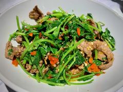 香菜炒牛肉-壹盏灯(惠农店)