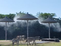 -宁波野生动物园