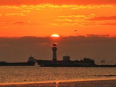 -上海吴淞炮台湾国家湿地公园