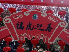 -香雪海