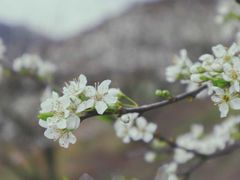 -桤木河湿地公园