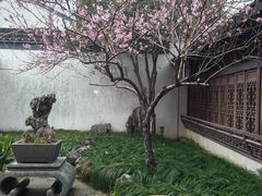 -金庸书院