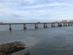 -海堤纪念公园