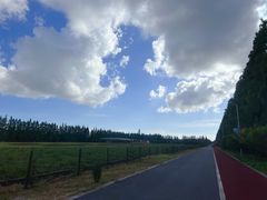 -上海长兴岛郊野公园