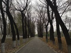 -东郊湿地公园