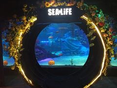 -沈阳海洋探索中心