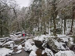 -龙苍沟森林公园