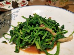 小蘑菇调菠菜-西北45°(世茂广场店)