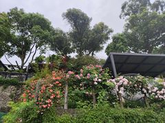 -阿南海鲜