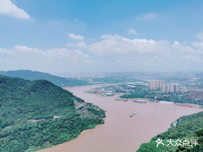 铁山坪森林公园图片