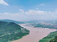 -铁山坪森林公园