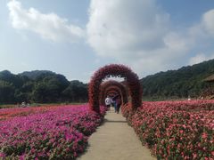 -广州市石门国家森林公园