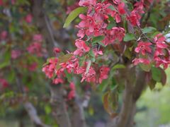 -北京西山国家森林公园