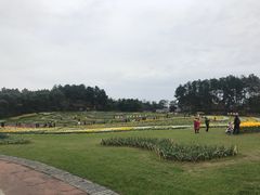 -保利石象湖景区