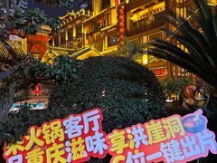 -小天鹅火锅·一线江景洪鼎旗舰店(洪崖洞店)