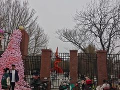 -桃花堤公园