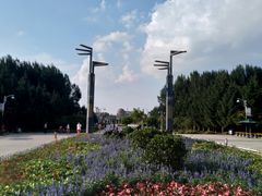 -长春公园(普阳街道)