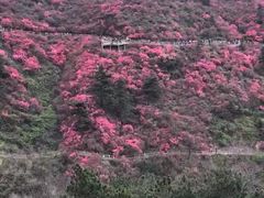 -木兰云雾山