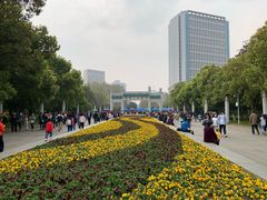 -武汉大学-樱园