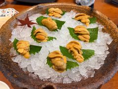 -月龍吟(朝龙汇店)