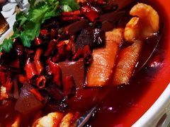 油泼毛血旺-昆仑饭店-鲜筵餐厅