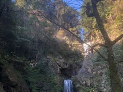 -石台牯牛降景区