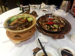 -山泉公馆酒家(珠江新城店)