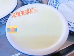 姜撞奶-沙湾姜撞奶(十四涌店)