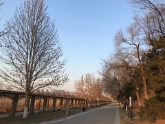 -北京张裕爱斐堡酒庄