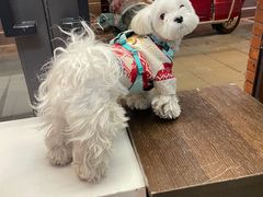 -PHOTOWITH 自助照相馆