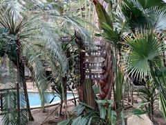 -龙达温泉生态城