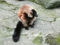 -杭州动物园