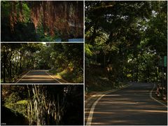 -广州市白云山风景名胜区