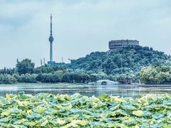 -月湖风景区