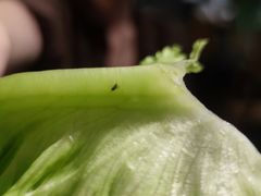 -火叮叮自助烤肉·现切牛肉(茂业店)