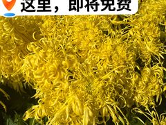 -汇龙潭