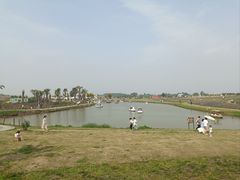 -空港花田景区