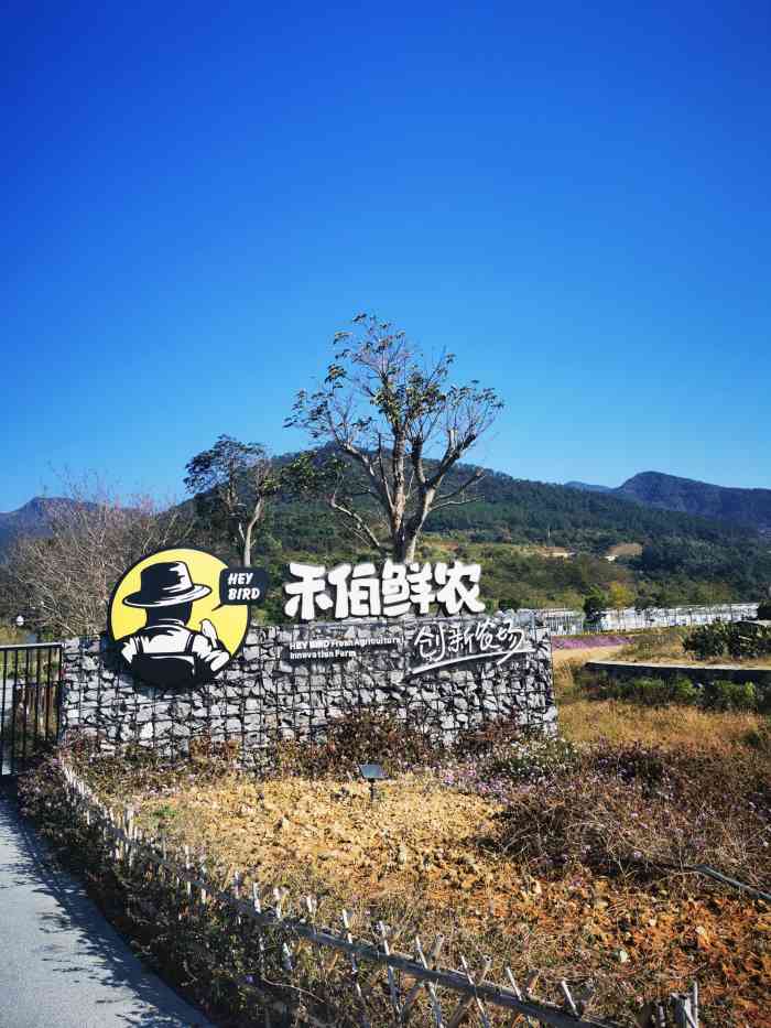 禾伯鲜农创新农场-"今日探店00:禾伯鲜农创新农场 17.