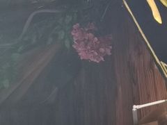 -川中故事·成都老火锅(东书房店)