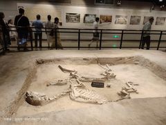 -洛阳周王城天子驾六博物馆