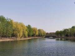 -东郊湿地公园