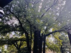 -红螺寺