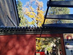 -红螺寺