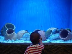 -华夏文旅海洋公园