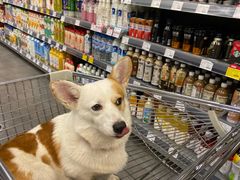 -blt精品超市(南京环宇城店)