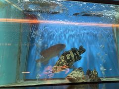 -珍宝海鲜JUMBO Seafood(尚嘉店)