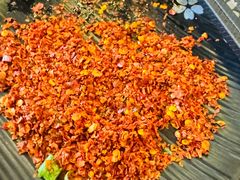 -杨老头鲜货烧烤(太古里店)