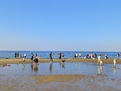 -烟台金沙滩海滨公园