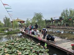 -同銮特种养殖场·龙虾垂钓